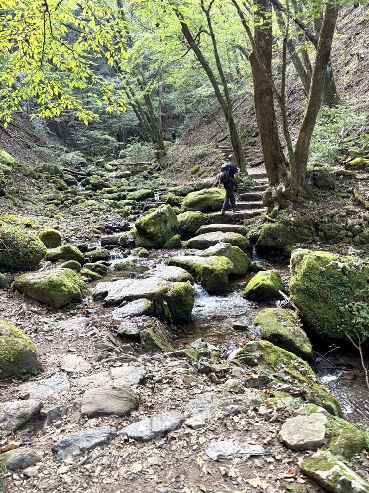 苔むした岩の間を流れる沢